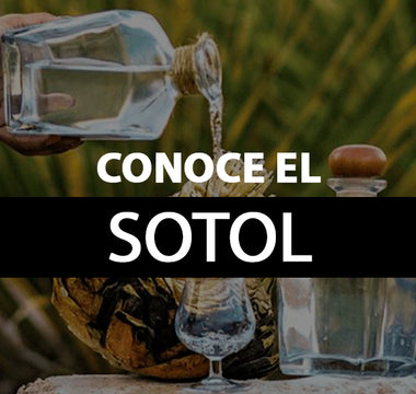 sotol