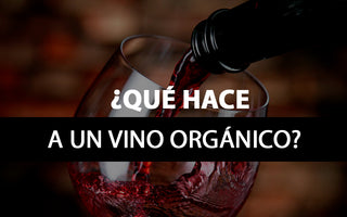 ¿Qué hace a un vino orgánico?