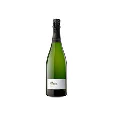 Vino Espumoso Recaredo Turó D’en Mota Brut Nature Xarel-lo 750 ml