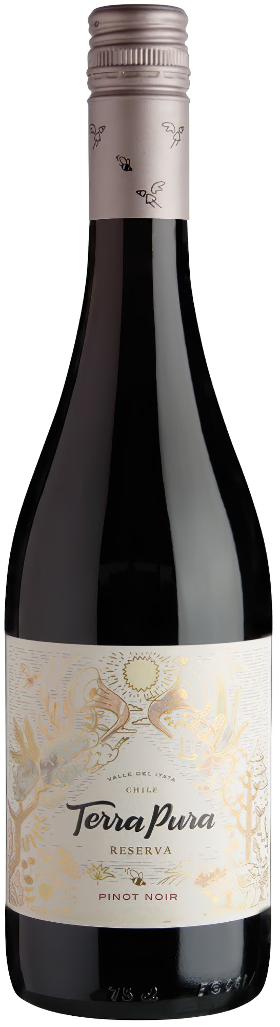 Vino Tinto Terrapura Pinot Noir Reserva 750 ml