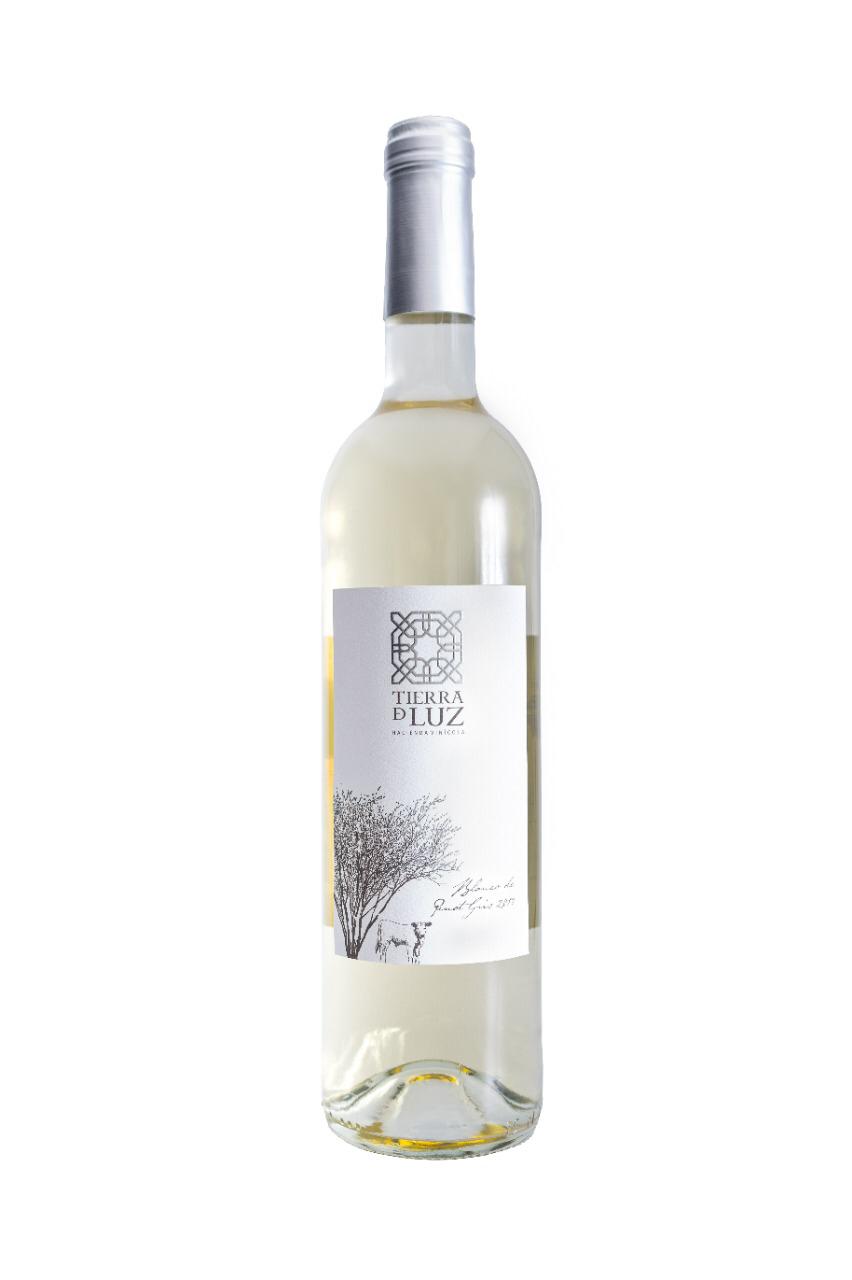 Vino Blanco Tierra de Luz Pinot Gris 750 ml