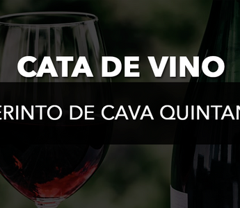 Cata de vino Laberinto de Cava Quintanilla