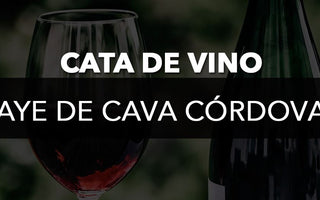 Cata de Vino AYE de Cava Córdova