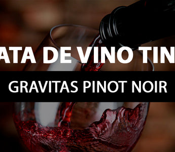 gravitas pinot noir cata de vino