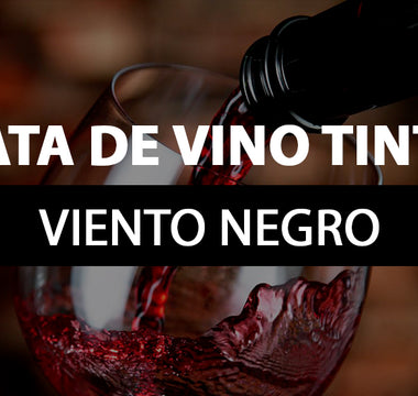 cata de vino viento negro
