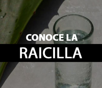 raicilla