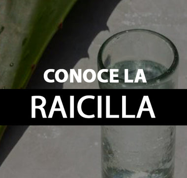 raicilla