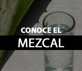 conoce mezcal