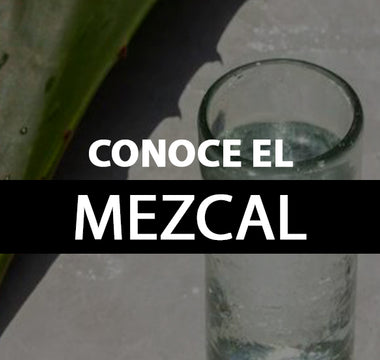 conoce mezcal