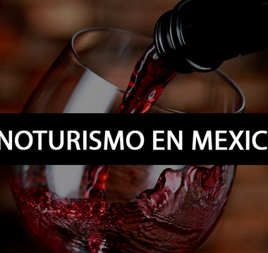 El enoturismo en México