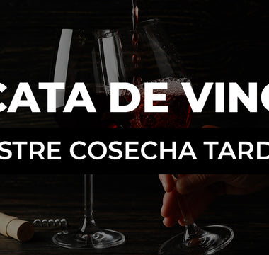 Cata de vino de postre Cosecha tardía