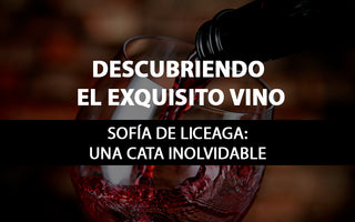 Descubriendo el Exquisito Vino Sofía de Liceaga: Una Cata Inolvidable