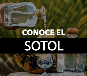 sotol