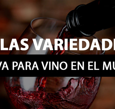 variedades uva vino