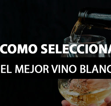 Cómo seleccionar el mejor vino blanco