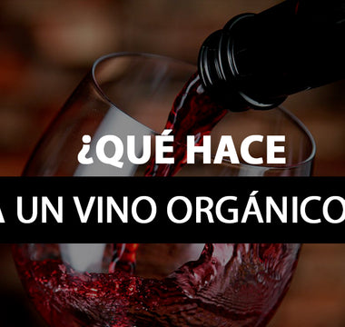 ¿Qué hace a un vino orgánico?