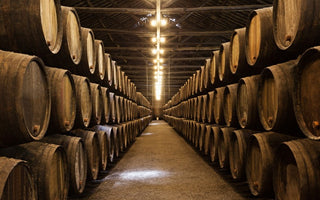 bodegas de vino