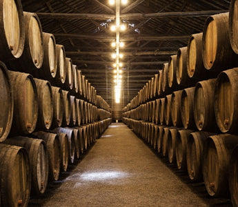 bodegas de vino