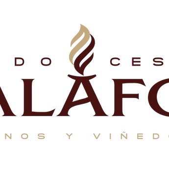 Palafox