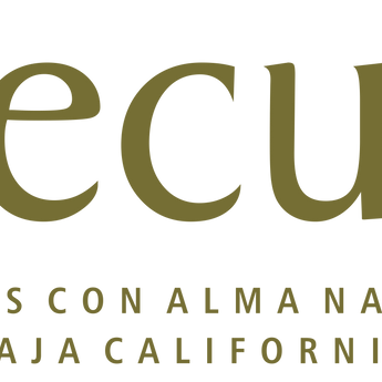 Xecué