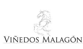 Viñedos Malagon