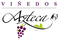 Viñedos Azteca