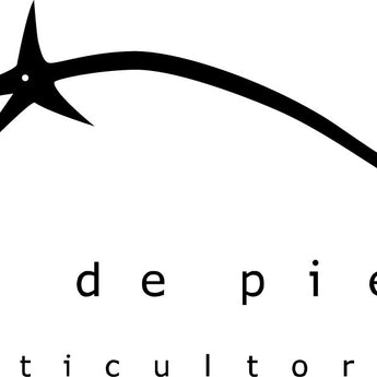 Casa de Piedra