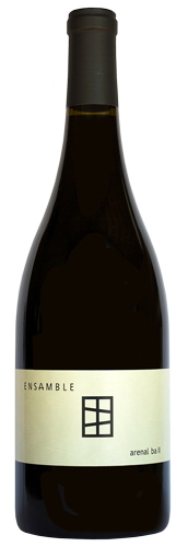 Vino Tinto Paralelo Ensamble Arenal II 750 ml