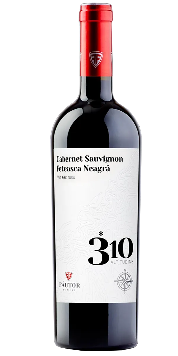 Vino Tinto Fautor 310 Cabernet & Fet Neagra 750 ml
