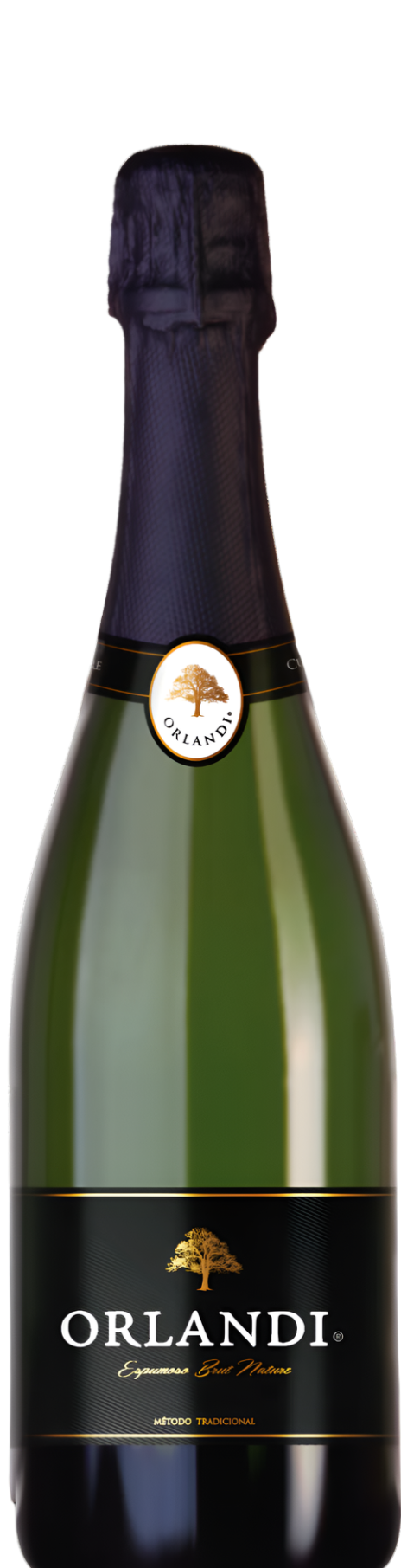 Vino Espumoso Orlandi Espumoso Brut Nature 750 ml