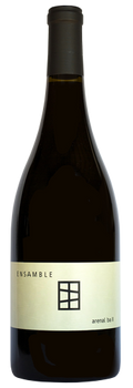 Vino Tinto Paralelo Ensamble Arenal II 750 ml