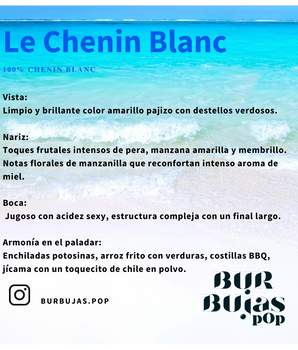 Vino Blanco Burbujas POP Le Chenin Blanc 237 ml