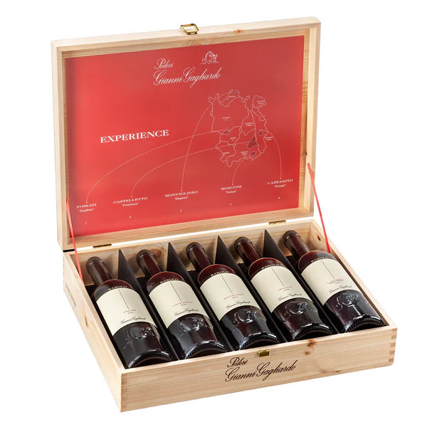 Vino Tinto Gianni Gagliardo Barolo Experience 750 ml