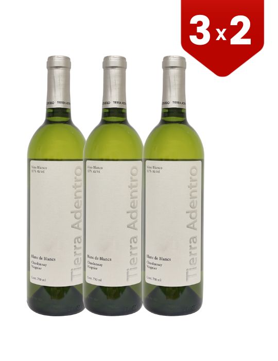 3x2 Vino Blanco Tierra Adentro Blanc de Blancs 750 ml