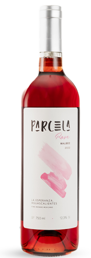 Vino Rosado Bonagens Parcela Malbec 750 ml
