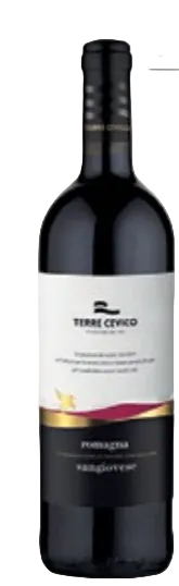 Vino Tinto Appassimento Sangiovese di Romagna DOC 750 ml