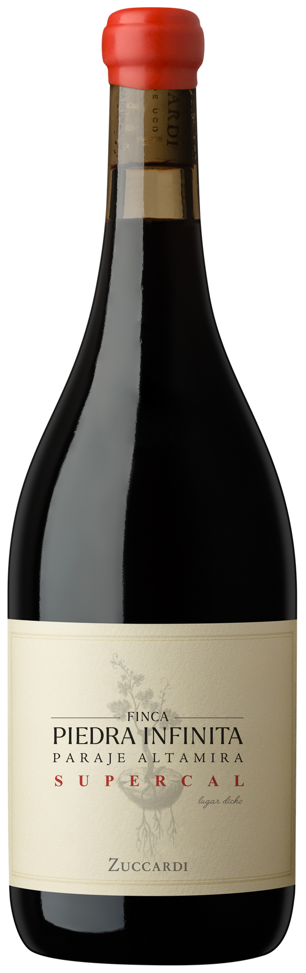 Vino Tinto Zuccardi Finca Piedra Infinita 2021 750 ML (100 Puntos TIM ATKINS)