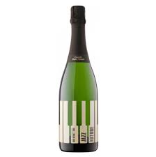 Vino Espumoso Castell Sant Antoni Jazz Nature Blend 750 ml