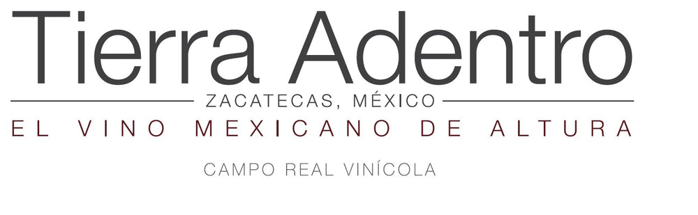 Cata Virtual Exclusiva Bodega Tierra Adentro 29 enero 2026