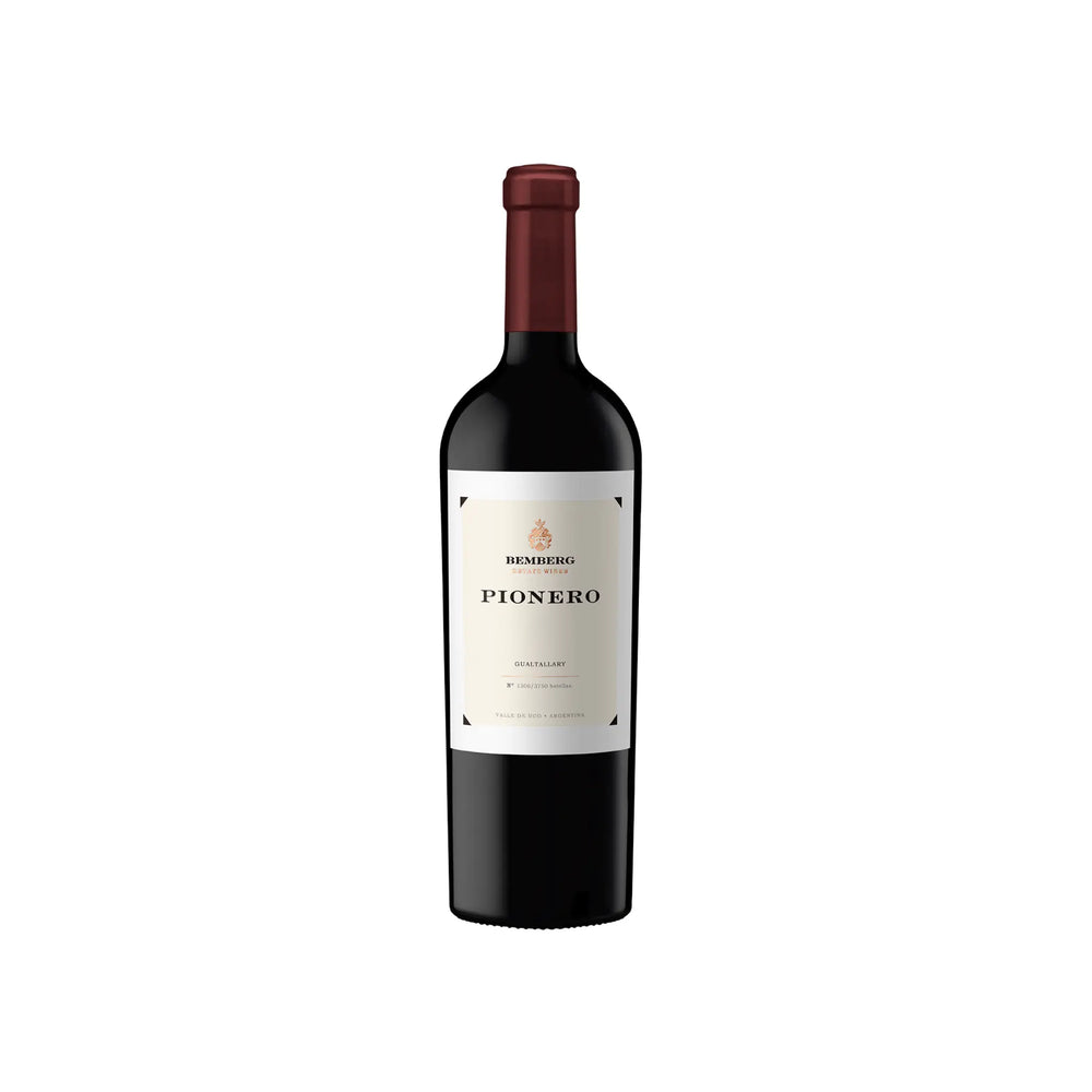 Vino Tinto Negro Mendoza Malbec 750 ml