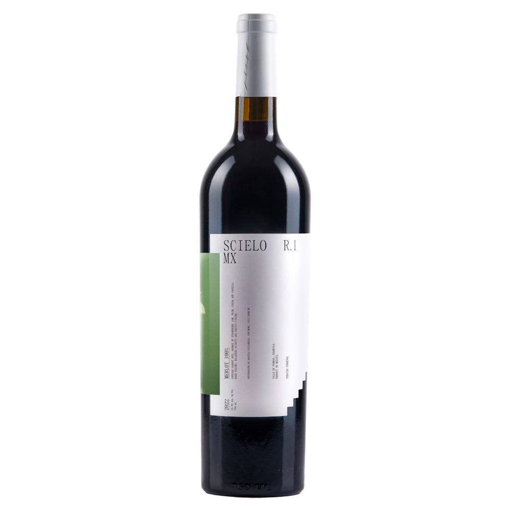 Vino Tinto Rivero González Scielo Reserva R1 Merlot 750 ml
