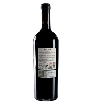Vino Tinto Aiurri Salas 750 ml