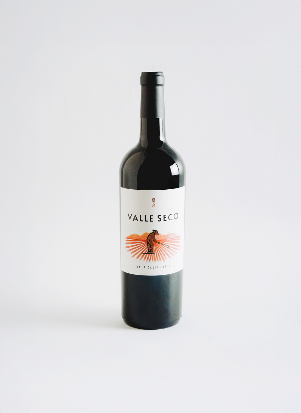Vino Tinto Valle Seco Tinto 750 ml