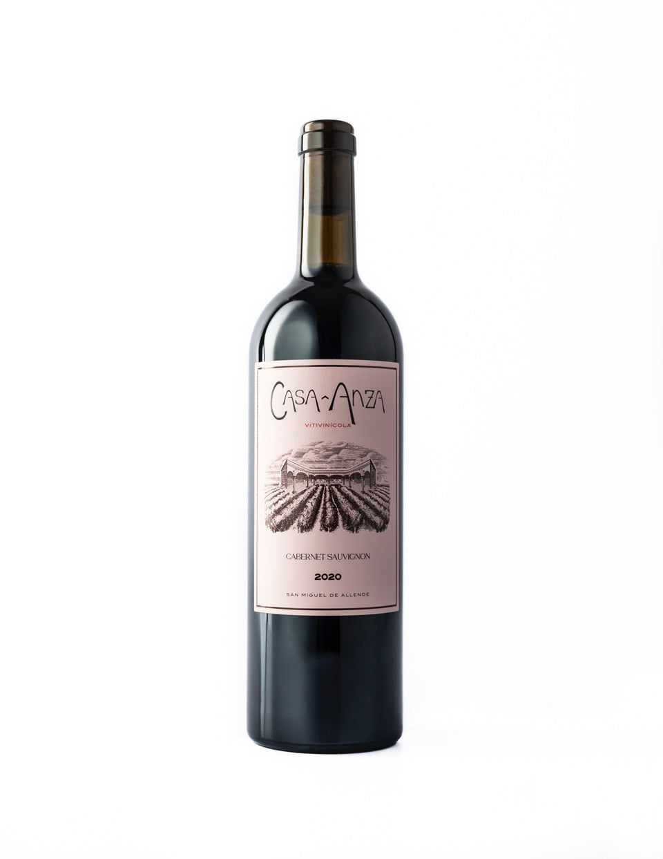 Vino Tinto Casa Anza Cabernet Sauvignon 750 ml