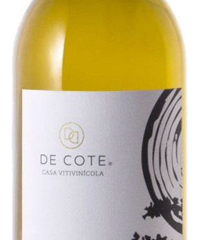 Vino Blanco De Cote Atempo Sauvignon Blanc 750 ml