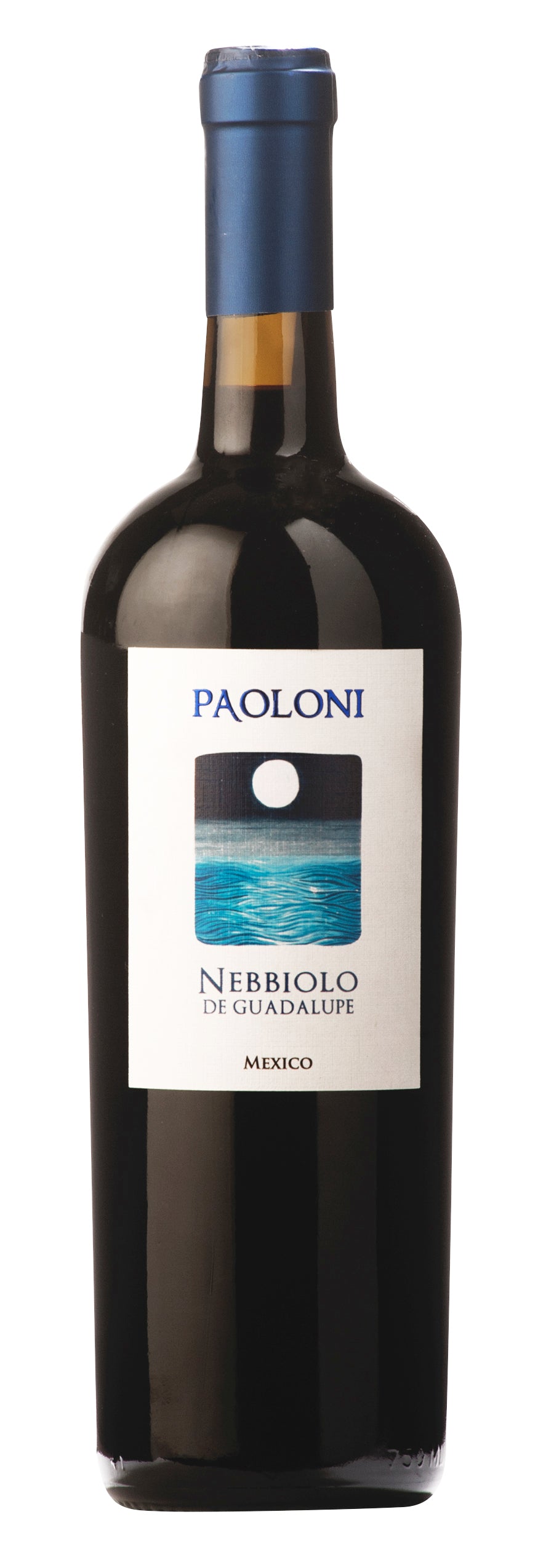Vino Tinto Montefiori Paoloni Nebbiolo 750 ml