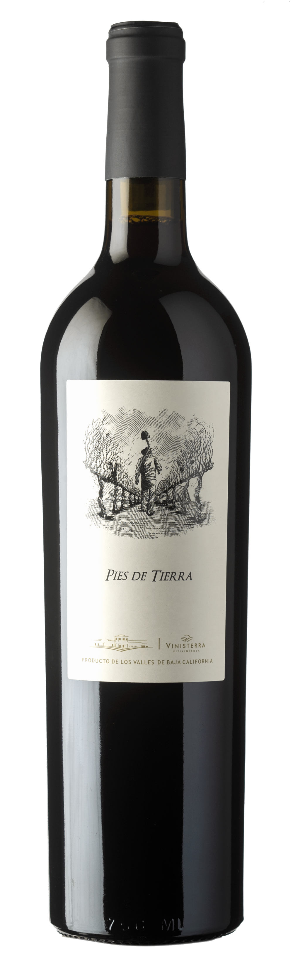 Vino Tinto Vinisterra Pies De Tierra 750 ml