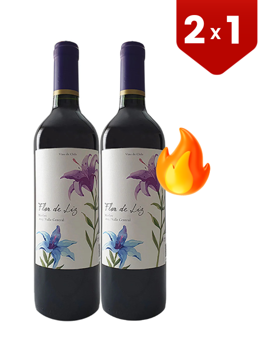 2X1 Vino Tinto Flor de Liz Merlot 750 ml