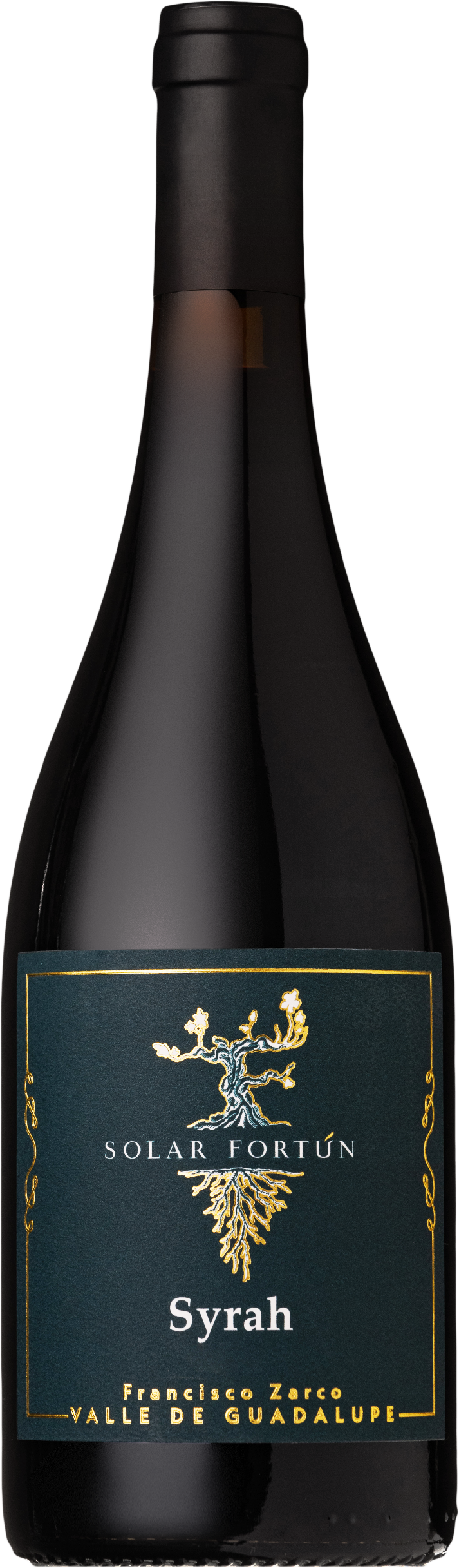 Vino Tinto Solar Fortun Syrah 750 ml