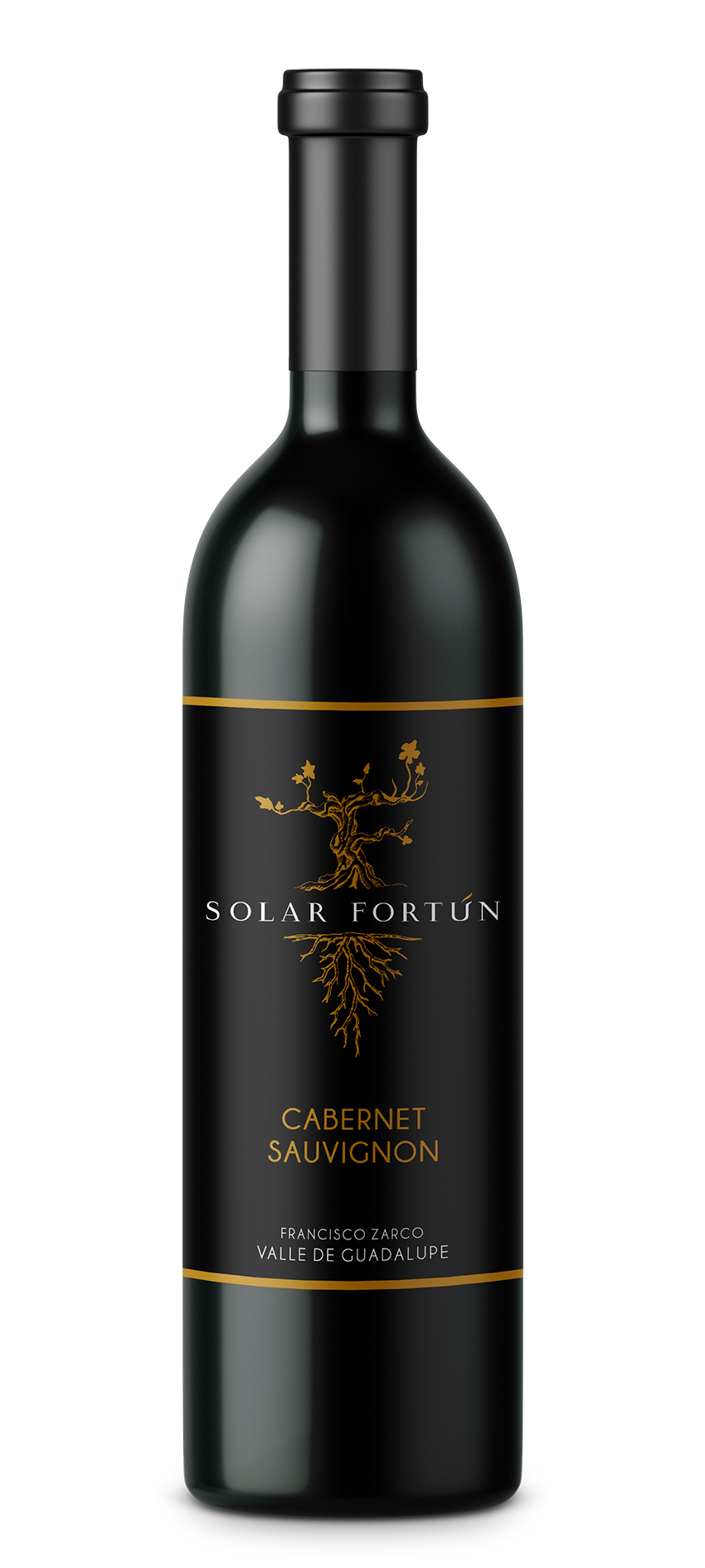 Vino Tinto Solar Fortun Cabernet Sauvignon Reserva 750 ml